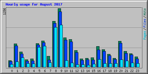 Hourly usage for August 2017